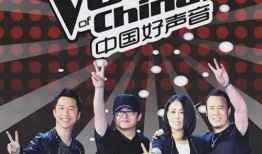 中国好声音导演爆料视频,幕后故事与精彩瞬间